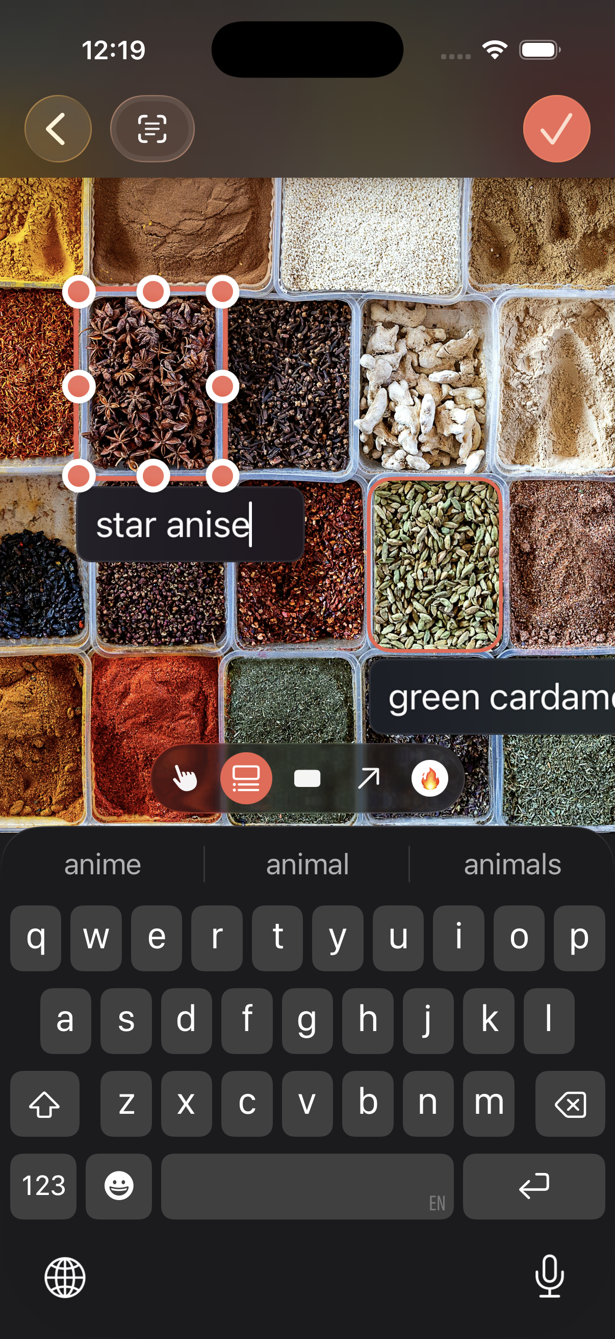 Photo annotation feature