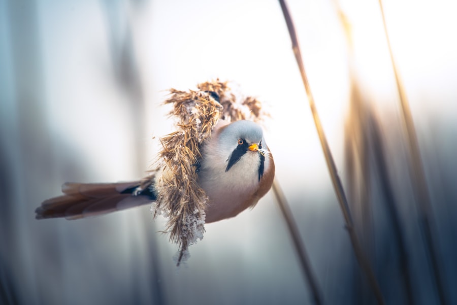 A small bird perched on a reed.